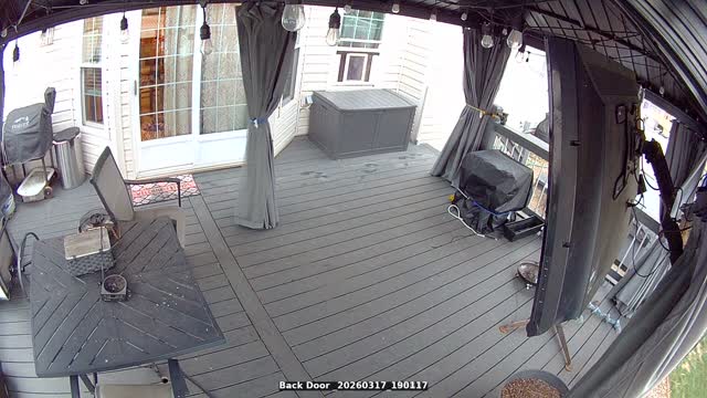 Back Door