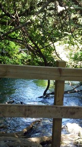 pic71.jpg