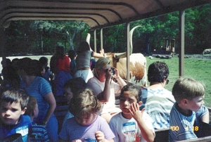 pic31.jpg