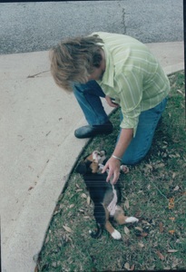 pic80.jpg