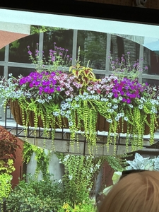 pic11.jpg