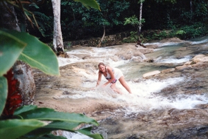 pic49.jpg
