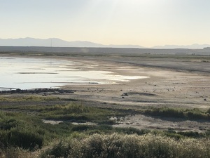 pic57.jpg