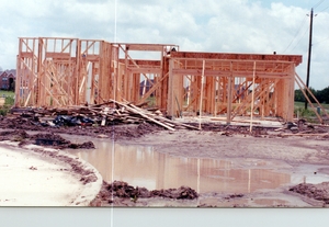 pic13.jpg