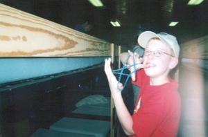 pic45.jpg