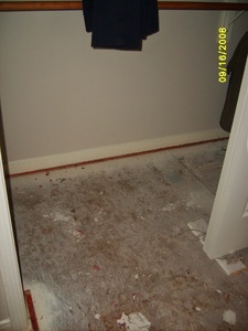 pic43.jpg