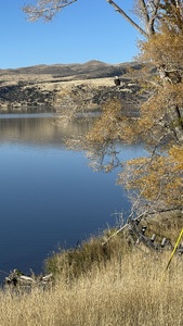 pic67.jpg