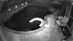 pic1.jpg