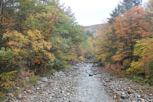 pic29.jpg
