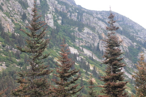pic84.jpg