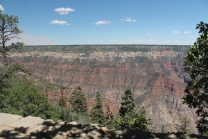 pic46.jpg