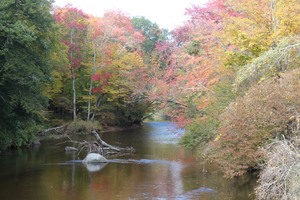 pic23.jpg