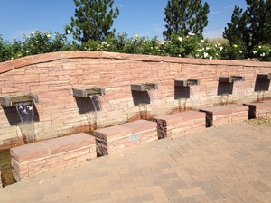 pic15.jpg
