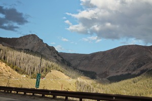 pic45.jpg