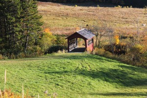 pic3.jpg