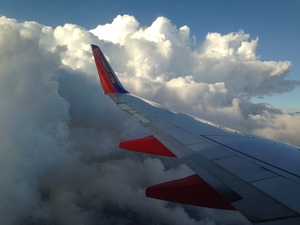 pic61.jpg