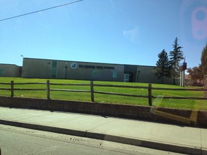 pic9.jpg