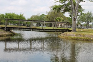 pic24.jpg